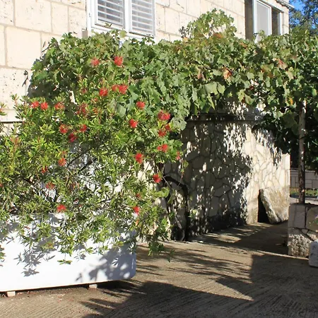 With A Parking Space Lumbarda, Korcula - 9299 3* Lumbarda