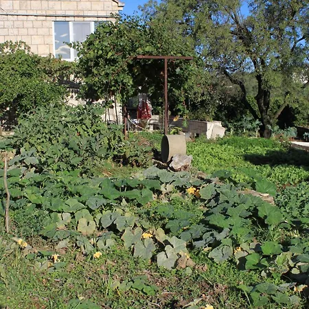 With A Parking Space Lumbarda, Korcula - 9299 3* Lumbarda